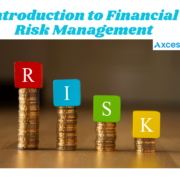 Financial Risk Management